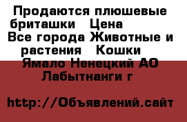 Продаются плюшевые бриташки › Цена ­ 2 500 - Все города Животные и растения » Кошки   . Ямало-Ненецкий АО,Лабытнанги г.